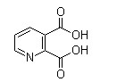 2,3-Pyridinedicarboxylic acid,CAS 339155-13-4 