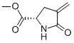 CAS 182073-75-2, L-Proline, 4-methylene-5-oxo-, methyl ester 